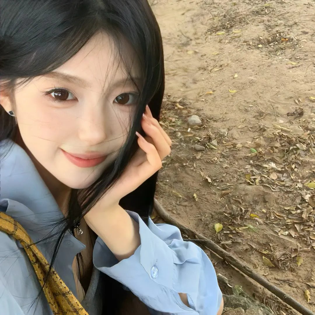 灰狐